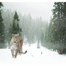 행복한 발전소 이미지