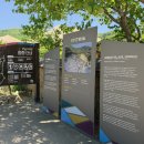 (유)아주관광 | 경북 성주 한개마을 산책 후기｜주차·실전 방문 팁 정리
