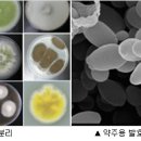 순창군미생물산업사업소 이미지