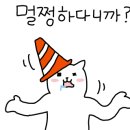 믹스앤포차 이미지