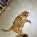 시점민박 이미지