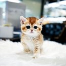 보은메디칼 이미지