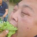 세진바이크