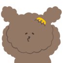 쿠잉루찌 이미지