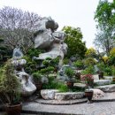 기린농장 | 태국 파타야 악어농장, 백만년바위공원 방문 후기