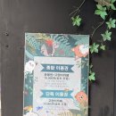 실내 동물원:) 테이블에이 홍대점 후기