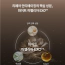 까멜리오 이미지