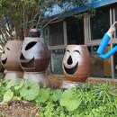 농부네 텃밭 이미지