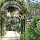 허브빌리지(파머스테이블) 이미지