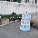 해녀할매집 이미지