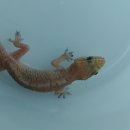 통도동물병원 이미지