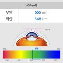 [라식/라섹 DDAY] 창원 스마일 라식 후기