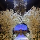 서구-01-27 | [W] #01. 광주 글로리아 웨딩홀 비스타홀 계약 (27년 상반기 견적 공유)