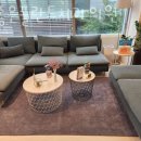 참좋은플란트치과의원 이미지