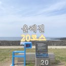 풍차 | [제주 올레길] 20코스 걷기 (22년 5월)