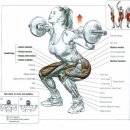 KY 휘트니스 이미지