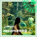 [단양 별곡리] 가성비 좋은 여행지, 민물고기 아쿠아리움 &#34;다누리아쿠아리움&#34;