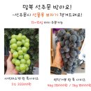 푸릇상회 이미지