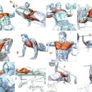 좋은운동 이미지