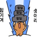 세종모터스 이미지