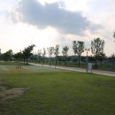 산호빛공원(2) 이미지