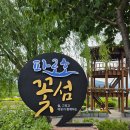 꽃섬펜션 | 양구 파로호꽃섬여행, 아는 사람만 간다 * 파로호꽃섬 민츄 chew😍
