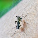 플래니터리헬스 이미지