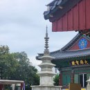 서봉사 | 블챌- 서봉사, 팀스커피, 롤러커피,바지크 방문후기
