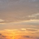 신창환승정류장 이미지