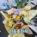 대구 남구 꽃집 라움플라워 라움과 봉덕동꽃다발 후기