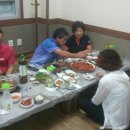 해오름풀꽃 이미지