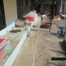 버섯마당 이미지