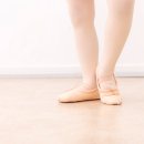 라푸앙트발레학원 이미지