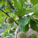 손주들농장 이미지