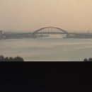 칠성닭집 | 속초 벚꽃축제 막바지, 청초호 왕벚꽃 절정 둘레 코스 추천