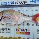 신광낚시 이미지