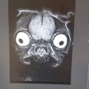 동물병원서 강아지 MRI 사진 찍었다가 '빵' 터진 이유 이미지
