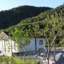 샛들민박 이미지