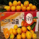 하안북중학교 이미지