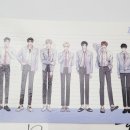 테스타 이미지