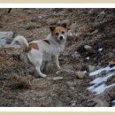 탑평리 갓바위마애불 이미지