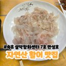 속초 설악항 활어회센터 7호 만성호 / 자연산 활어회 야장 감성