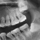 지디치과의원 이미지