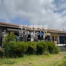 블루사이공 | 제주 애월 쌀국수맛집 블루 사이공모임 점심으로 찐 선택