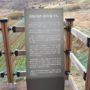 ┗ 충주의 산(주정산~황산~조산~표댓주봉) 2021년 3월 21일 이미지