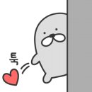 안경나라 이미지