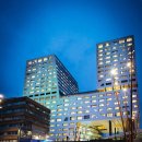 도시의 빛 이미지