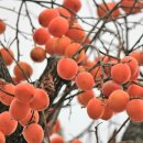 너른마당 이미지