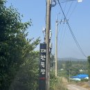 성지목장 | 트렌디함의 성지 넓은 초원같은 카페 대한목장