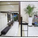 레몬 골프연습장 이미지